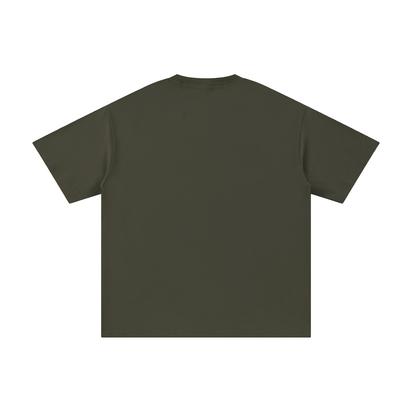 Pure cotton T-shirt by RAREBINO, soft fabric with a classic fit, shown in a neutral color on a plain background.