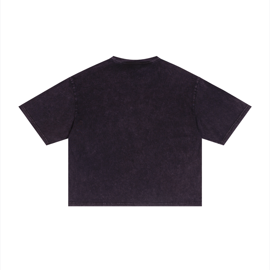 Rarebino Mineral Wash Boxy T-Shirt in neutral tones, showcasing relaxed fit and soft fabric with subtle mineral wash details.