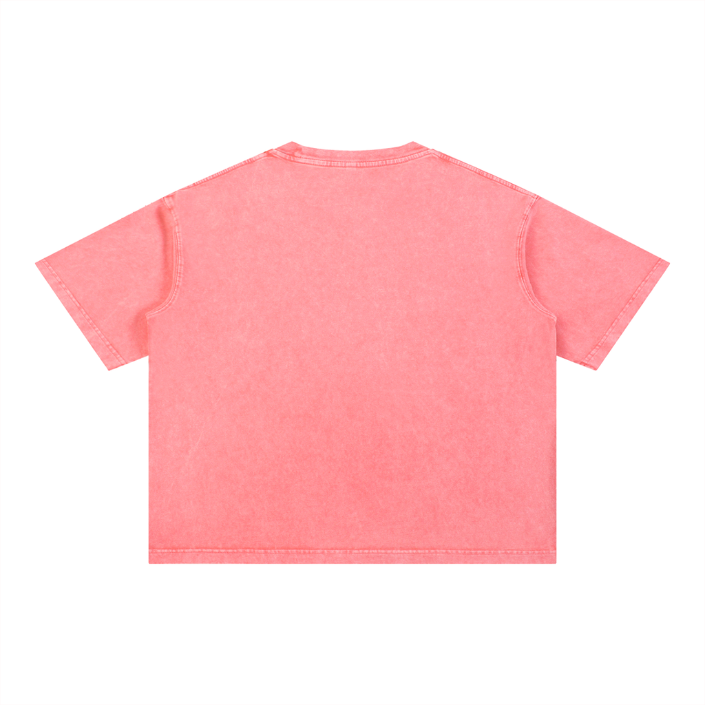 Rarebino mineral wash boxy cotton T-shirt displayed on a hanger, showcasing its relaxed fit and soft, washed fabric.