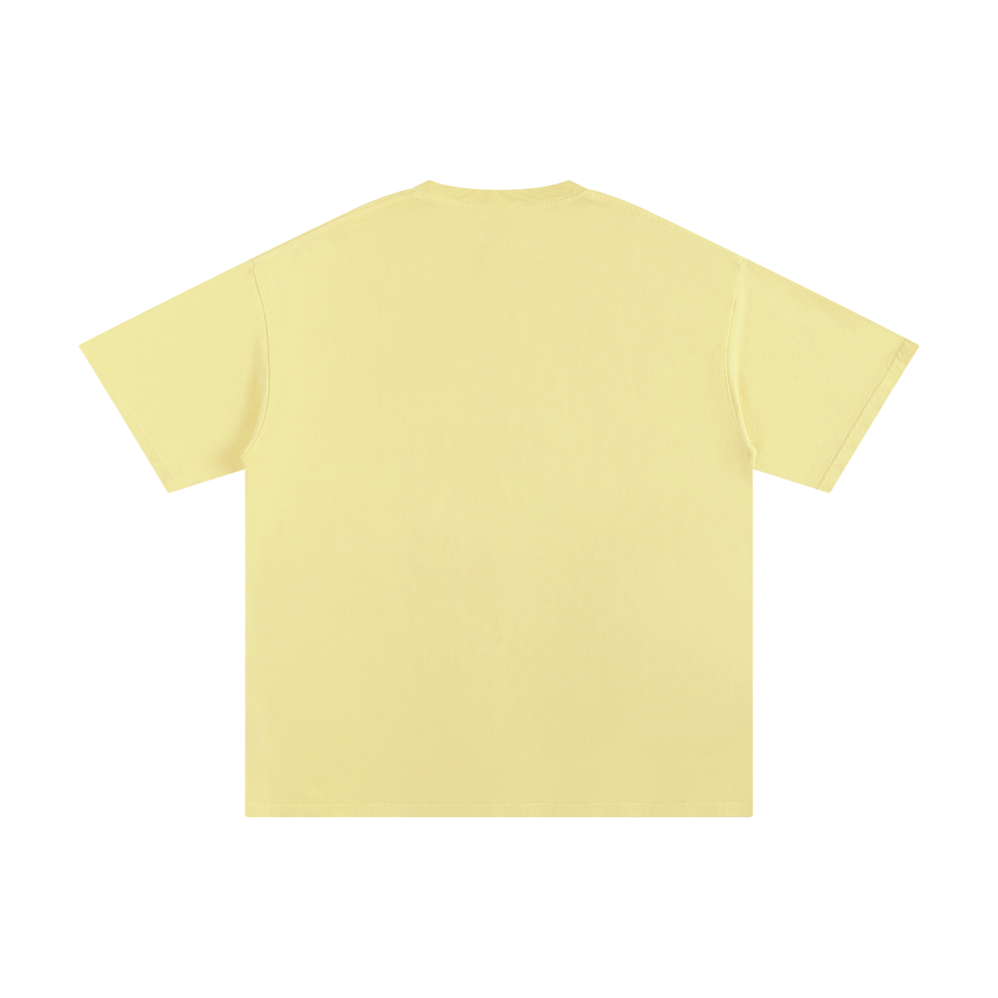 Pure cotton T-shirt by RAREBINO, featuring a comfortable fit with a classic crew neckline and soft white fabric.