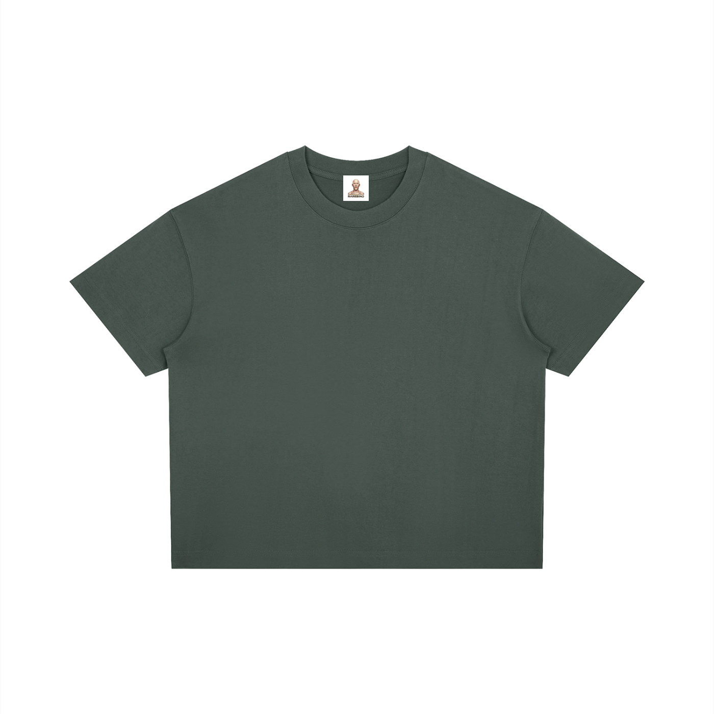 RAREBINO boxy drop shoulder T-shirt in neutral tone, showcasing relaxed fit, soft fabric texture, and casual style.