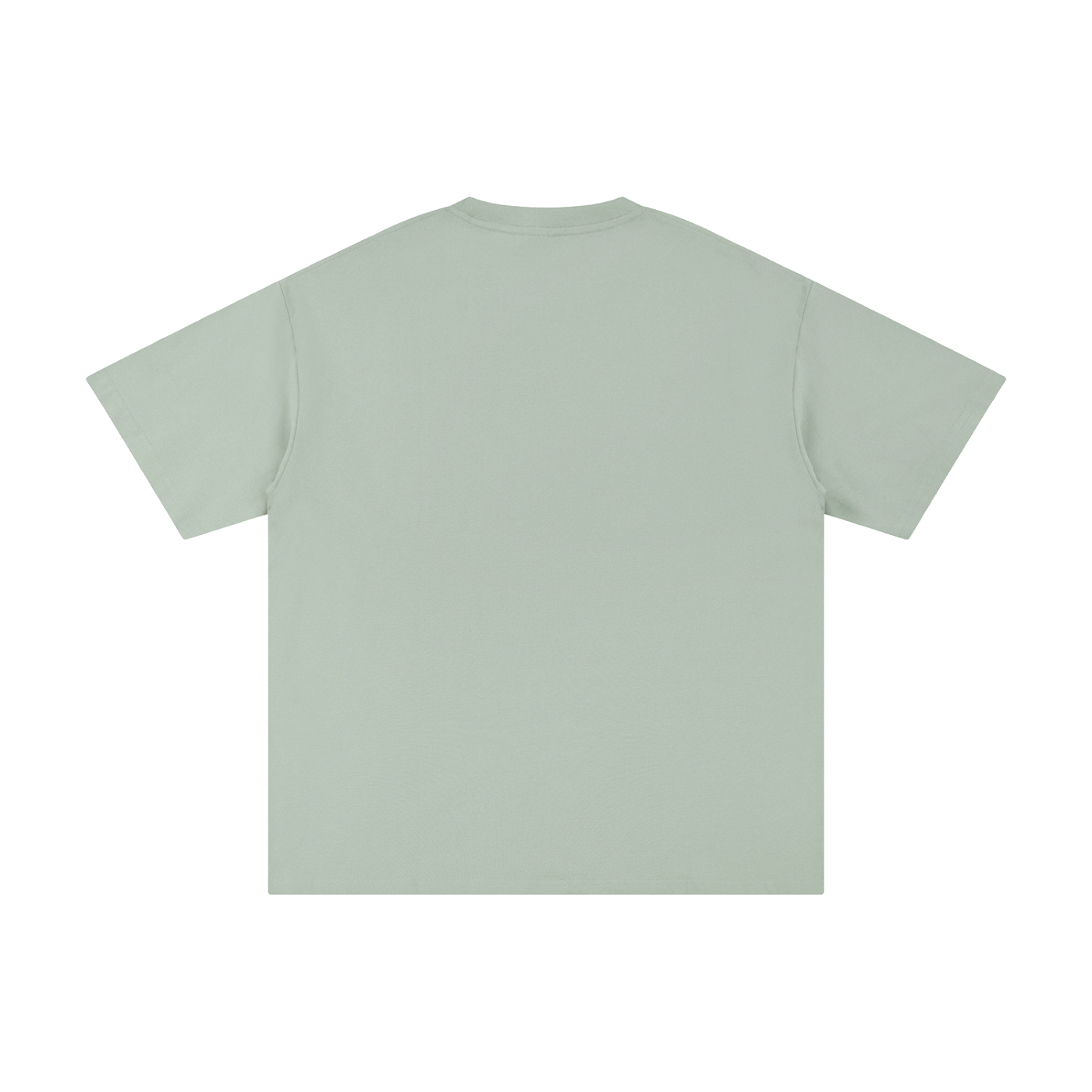 White Pure Cotton T-Shirt by RAREBINO featuring a classic crew neck and soft fabric, perfect for casual wear