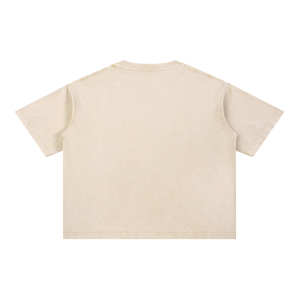 Rarebino mineral wash boxy cotton T-shirt with short sleeves and relaxed fit, showcasing soft, textured fabric in the image.